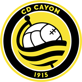 CD Cayon Logo