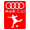 Audi Cup